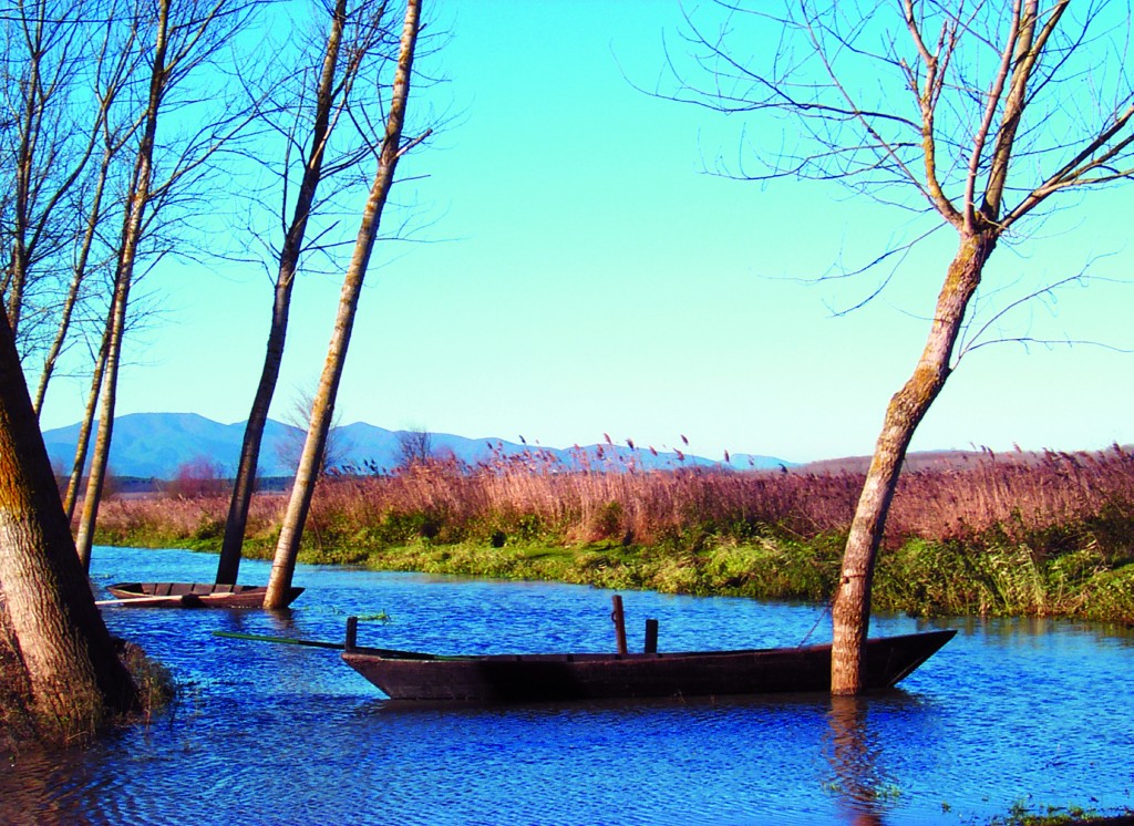 Padule di Fucecchio